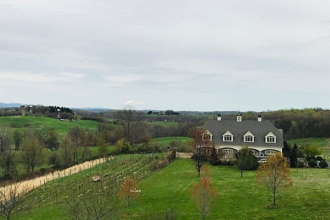 Private Washington DC Virginia Winery Wine Tasting Tour - Narmada Winery and views with your tasting flight