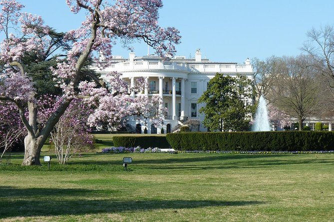 Small Group Tour of DC - Open-Top or Glass Convertible Luxury Bus - Jefferson Memorial and the seasonal one-hour break