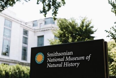 Smithsonian Museum of Natural History – Exclusive Guided Tour