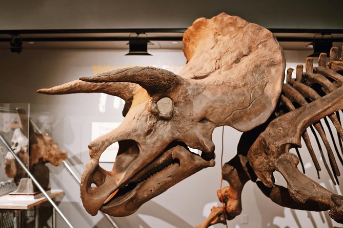 Smithsonian Museum of Natural History - Exclusive Guided Tour - Is $89.67 per person good value?