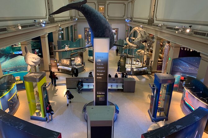 Smithsonian Museum of Natural History Guided Tour - The opening outside the museum