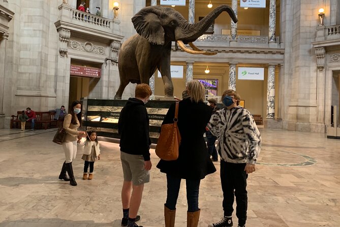 Smithsonian Museum of Natural History Guided Tour - The free admission question and the $75 price