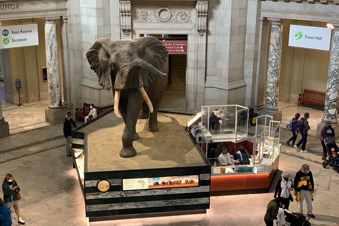 Smithsonian Museum of Natural History Guided Tour - Reliability is the main concern