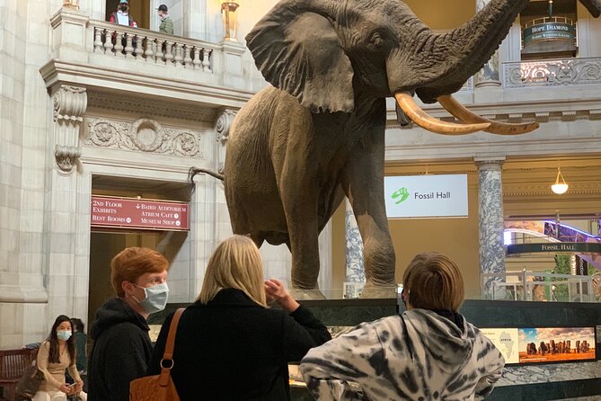 Smithsonian Museum of Natural History Guided Tour - Who should book this experience?