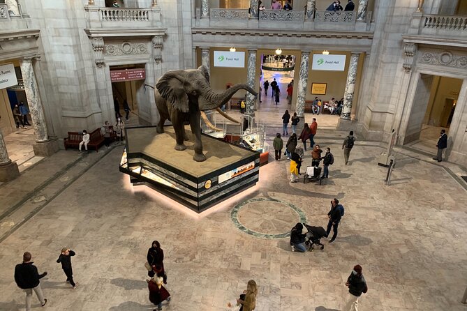 Smithsonian Museum of Natural History Guided Tour - Dinosaur fossils and the first major exhibits
