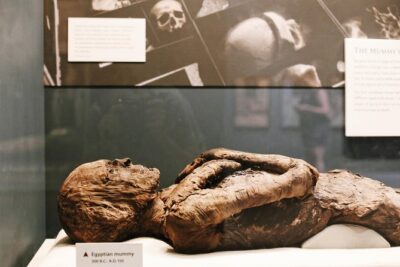 Smithsonian Museum of Natural History Small Group Tour: 8ppl Max