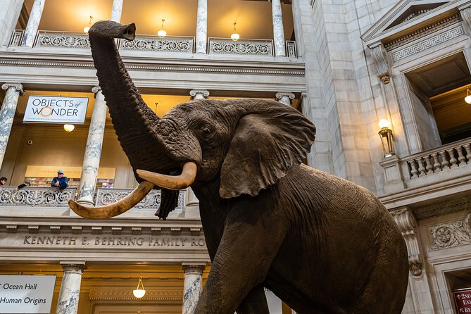 Smithsonian Museums Walking Tour with Reserved Air & Space Entry - Natural History: the Hope Diamond and dinosaurs