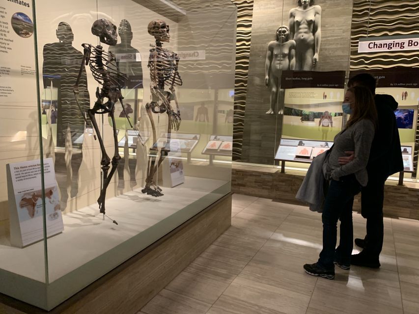 Smithsonian National Museum of Natural History Guided Tour - Key points to know before you book