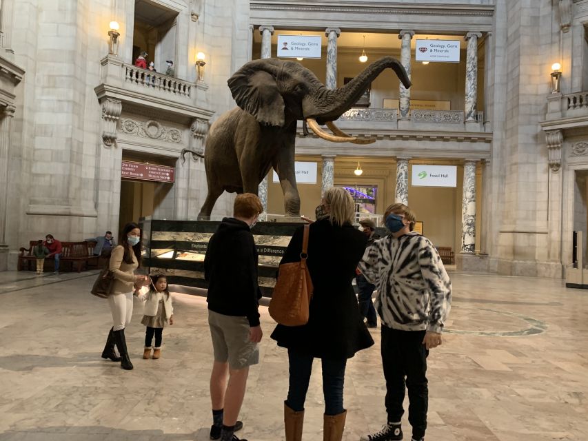 Smithsonian National Museum of Natural History Guided Tour - Should you book this Smithsonian museum tour?