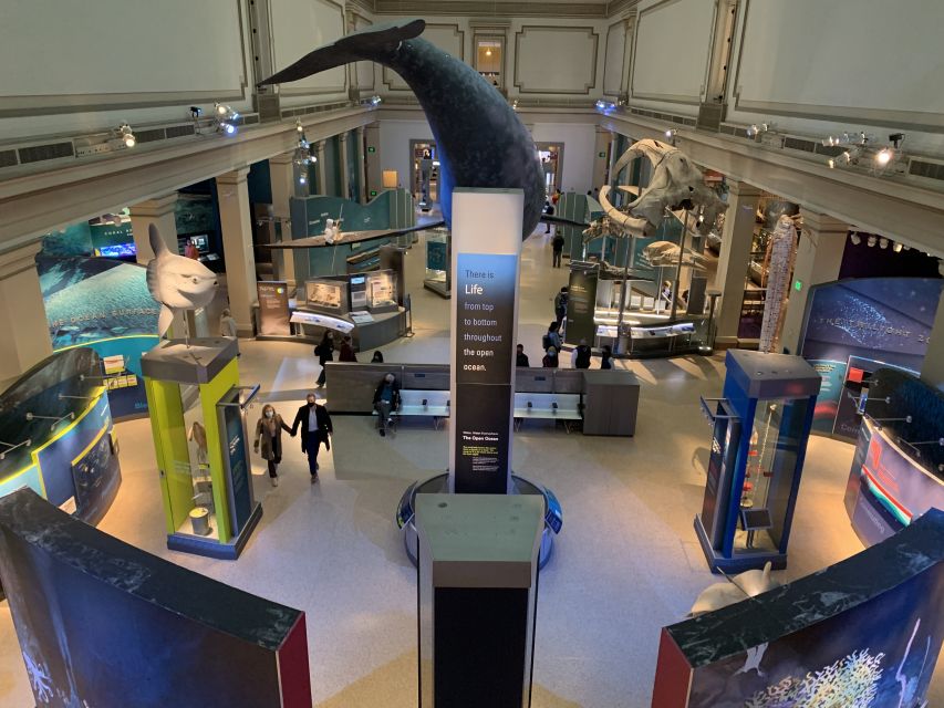 Smithsonian National Museum of Natural History Guided Tour - Why a guide helps in a museum this large