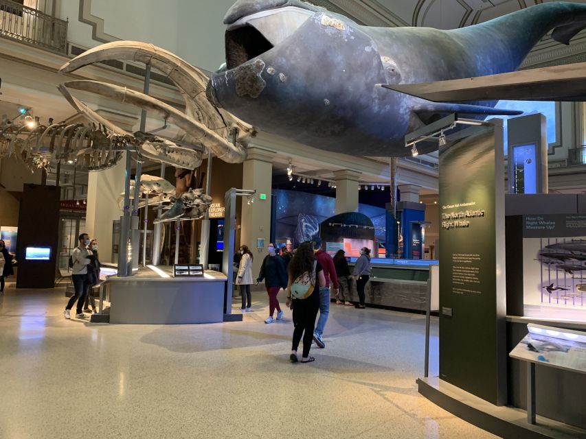 Smithsonian National Museum of Natural History Guided Tour - Gemstones, mummies, and the pleasure of odd objects
