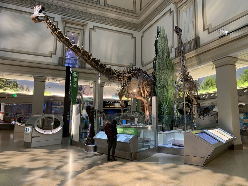 Smithsonian National Museum of Natural History Guided Tour - Interactive exhibits and the cost of the tour