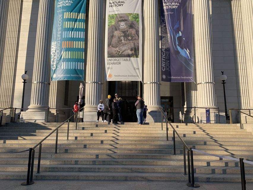 Smithsonian National Museum of Natural History Guided Tour - How the two-hour pace feels
