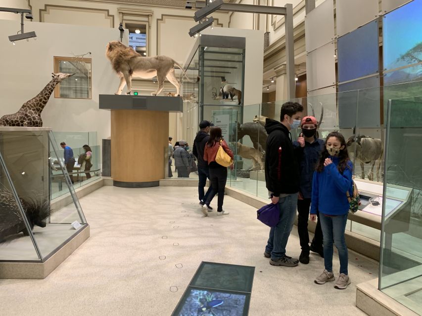 Smithsonian National Museum of Natural History Guided Tour - Getting more from your visit after the guide leaves