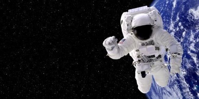 Smithsonian Natural History + Air and Space Museum Private Tour - Key points to know before booking