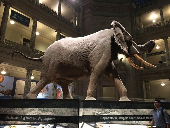 Smithsonian Natural History + American History - Exclusive Tour - Key points to know before booking
