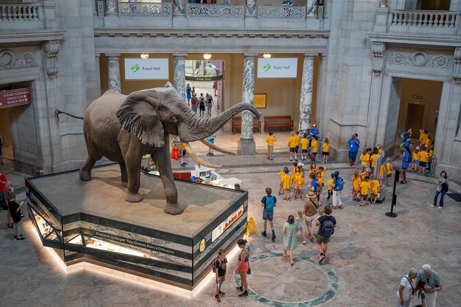 Smithsonian Natural History Museum Semi-Private Guided Tour - Key points to know before you book