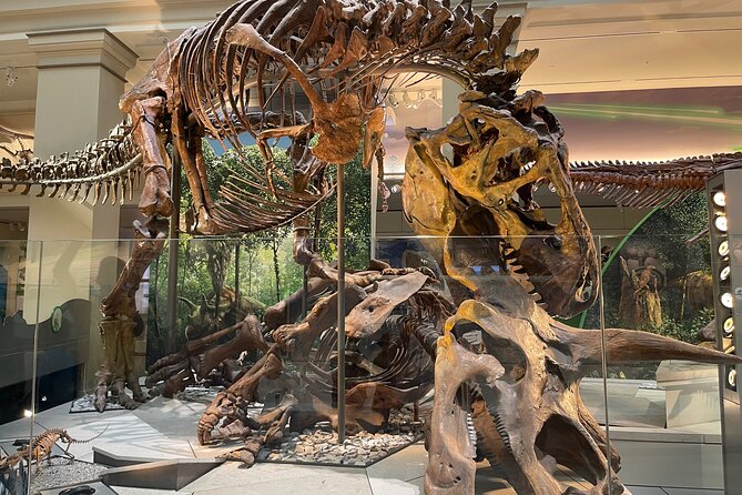 Smithsonian Natural History Museum Semi-Private Guided Tour - Why a guide helps in this enormous museum