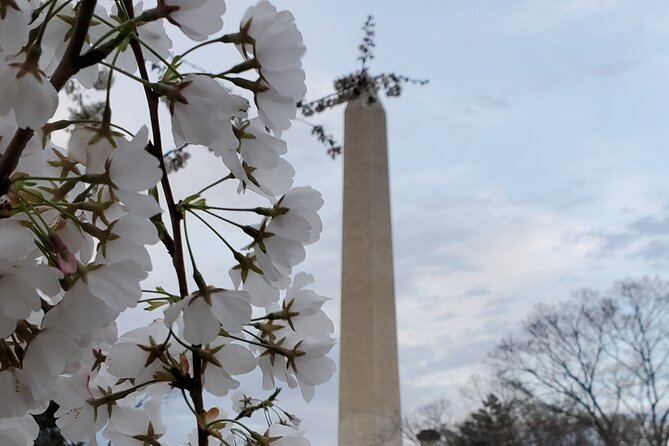 The DC Cherry Blossom Bus Tour with Tidal Basin Guided Walk - Martin Luther King Jr. Memorial beside the water