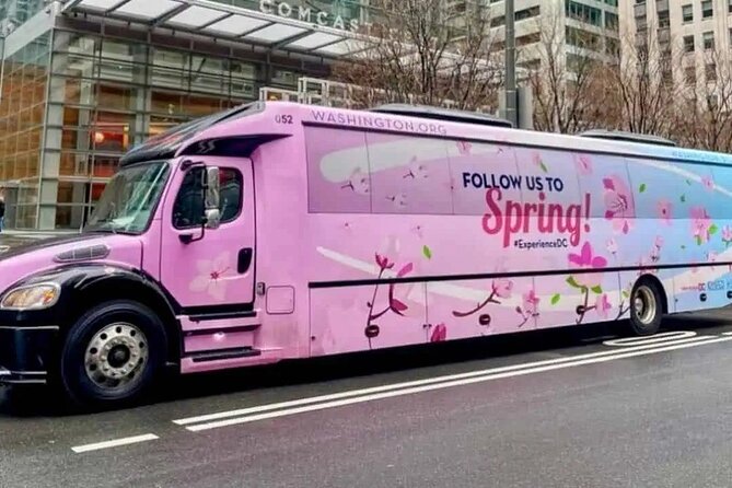 The DC Cherry Blossom Bus Tour with Tidal Basin Guided Walk - The Tidal Basin and the main cherry blossom walk