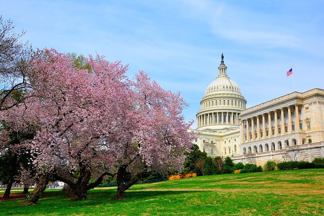 The DC Cherry Blossom Bus Tour with Tidal Basin Guided Walk - White House viewing from outside