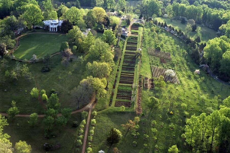 Thomas Jefferson Monticello Small Group Day Tour from DC - Is $239 a fair price?