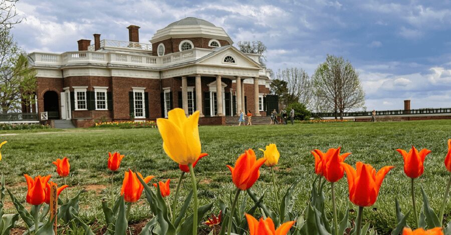 Thomas Jefferson Monticello Small Group Day Tour from DC - Who will enjoy this day trip most?