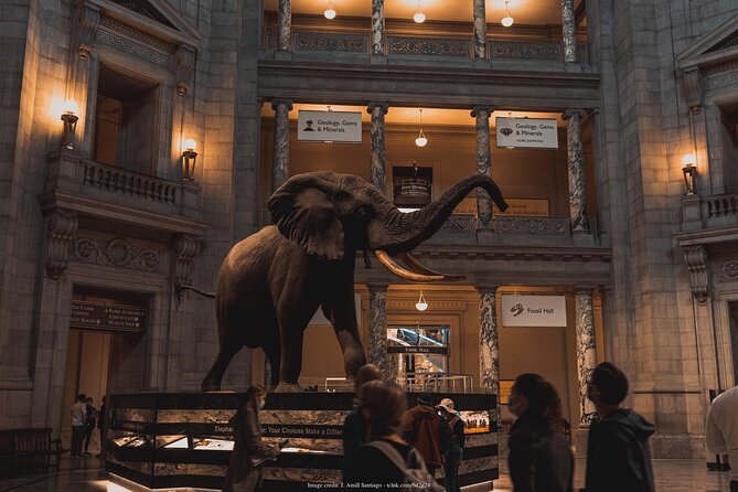 Two Smithsonian Museums Private Tour: American & Natural History - Why these two Smithsonian museums work well together