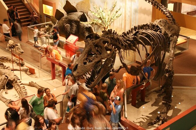 Two Smithsonian Museums Private Tour: American & Natural History - Natural History in two hours