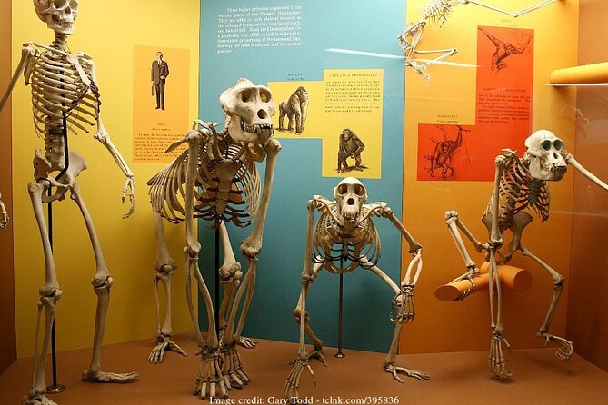 Two Smithsonian Museums Private Tour: American & Natural History - Starting with American history and famous American objects
