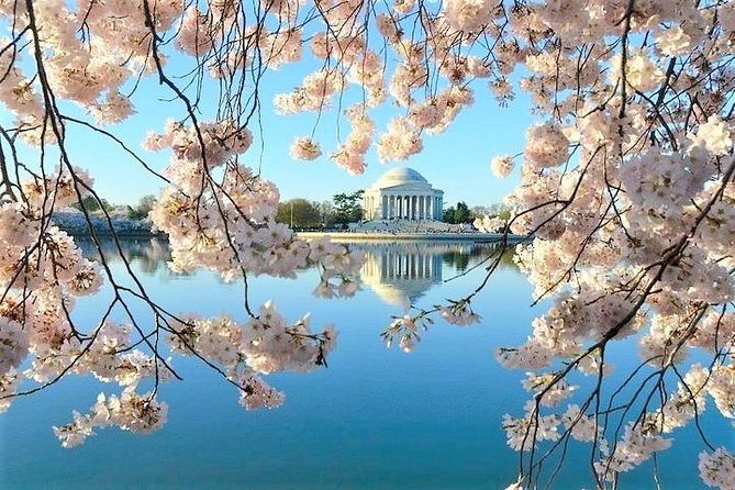 Ultimate Private City Tour of Washington DC - Up to 5 Guests - Capitol Hill offers several important choices