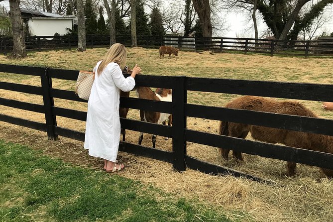 Virginia Wineries Guided Tour and Tastings from Washington DC - Key points to know before booking