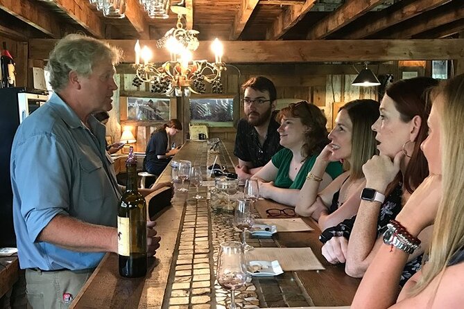 Virginia Wineries Guided Tour and Tastings from Washington DC - What the wine lessons add to the day