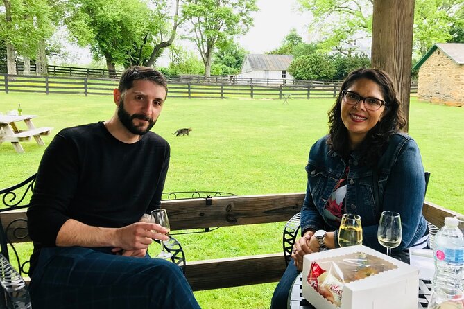 Virginia Wineries Guided Tour and Tastings from Washington DC - Transport, group size, and the pace of the day