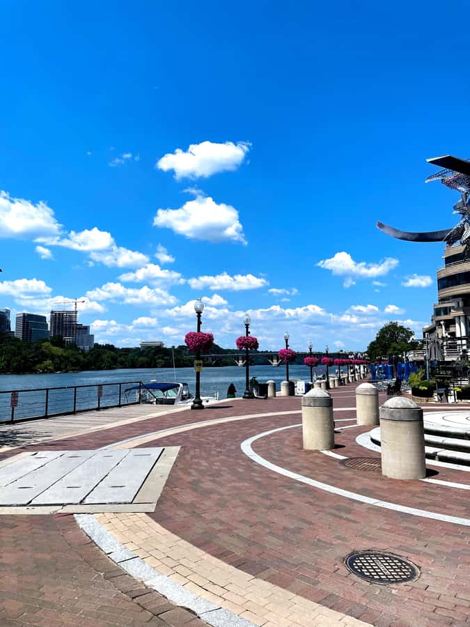 Washington D.C.: Georgetown Guided Secret Food Tour - Key points to know before booking