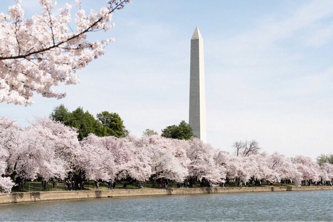 Washington, D.C. Private 4-Hour Day Tour - Regis and the guiding style