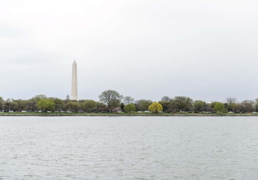 Washington DC: 1 or 2-Day Unlimited Water Taxi Pass - Alexandria City Marina and Old Town