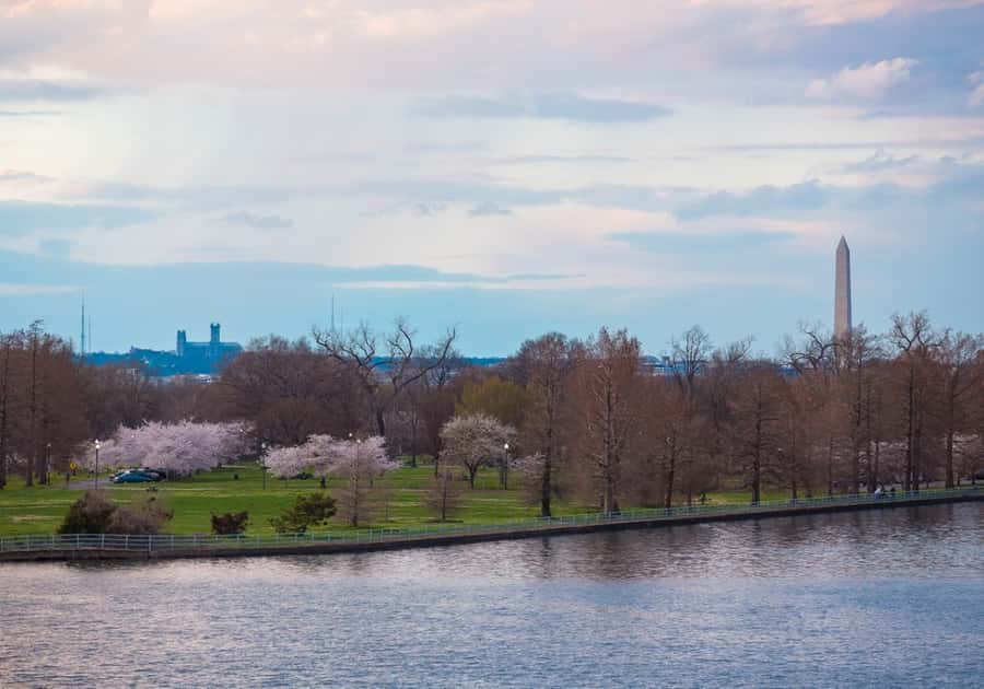 Washington DC: 1 or 2-Day Unlimited Water Taxi Pass - Planning a route that works