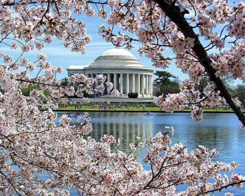 Washington DC: Cherry Blossom Walking Tour - Why the Tidal Basin is the right place to begin