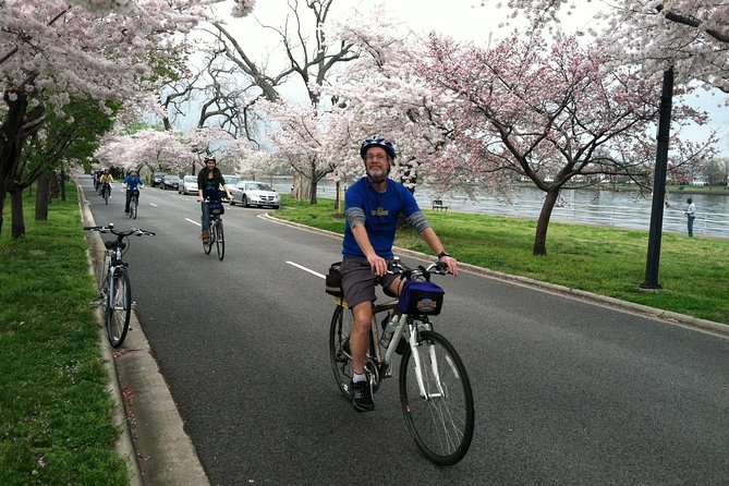 Washington DC Cherry Blossoms By Bike Tour - The MLK Memorial and Mountain of Despair