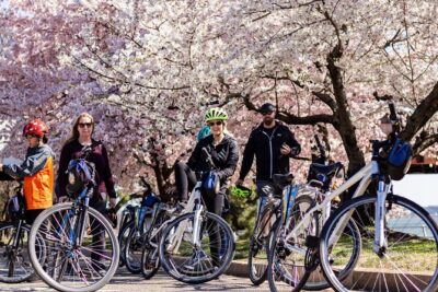 Washington DC Cherry Blossoms By Bike Tour