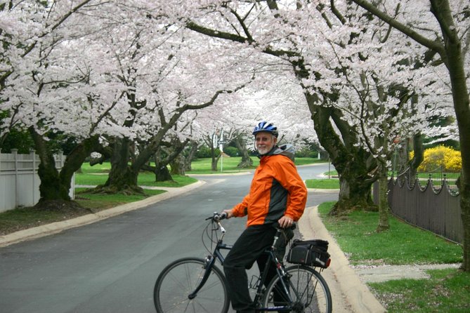 Washington DC Cherry Blossoms By Bike Tour - The Jefferson Memorial is the visual payoff