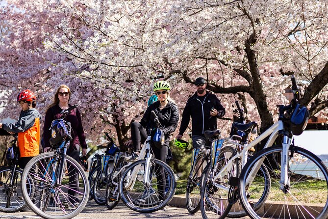 Washington DC Cherry Blossoms By Bike Tour - Starting at 701 D Street NW