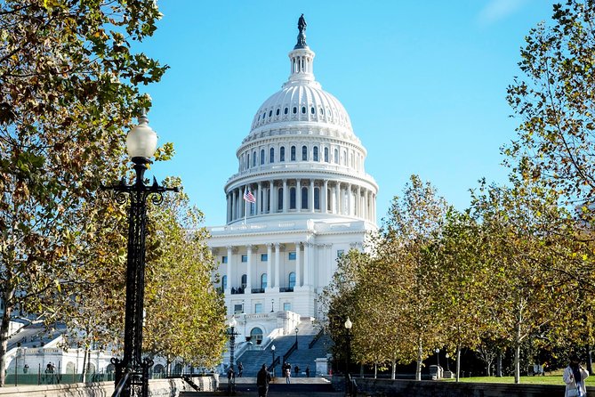 Washington DC Highlights Tour with Top Landmarks and Memorials - What the guide adds to the day