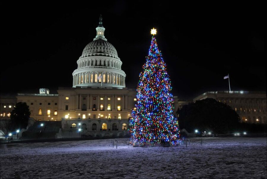 Washington, DC: Holiday Lights Nighttime Bus Tour - Why this three-hour route works