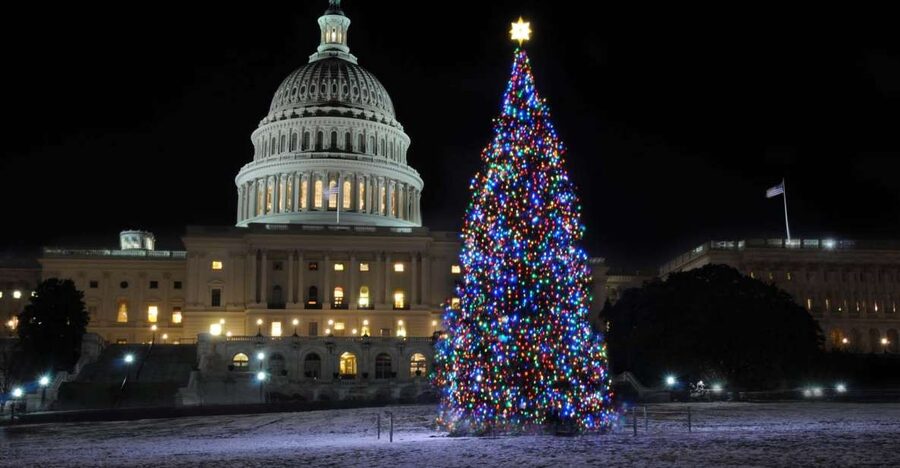 Washington, DC: Holiday Lights Nighttime Bus Tour - The National Christmas Tree near the White House