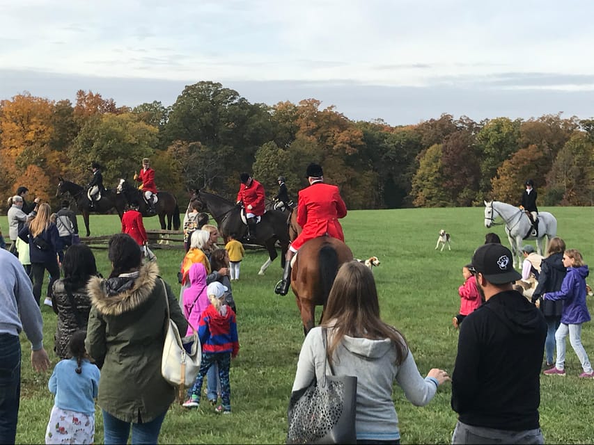 Washington DC: Mount Vernon Half-Day Tour - Washington’s burial site and the estate grounds