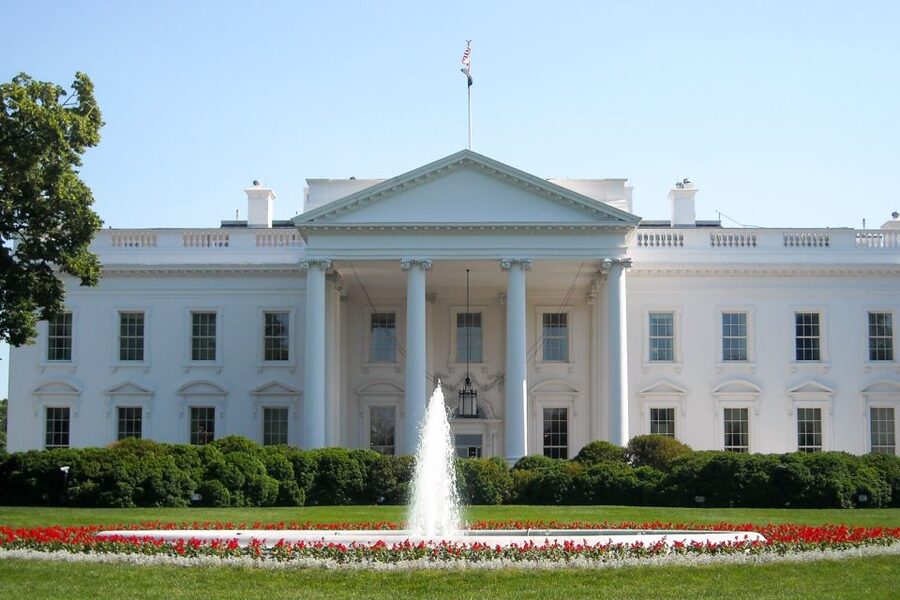 Washington DC: Multilingual Private Day or Evening SUV Tour - The Tidal Basin memorial circuit