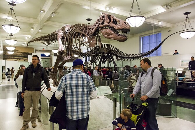 Washington DC Museum of Natural History Private Family tour - What the private family format really adds