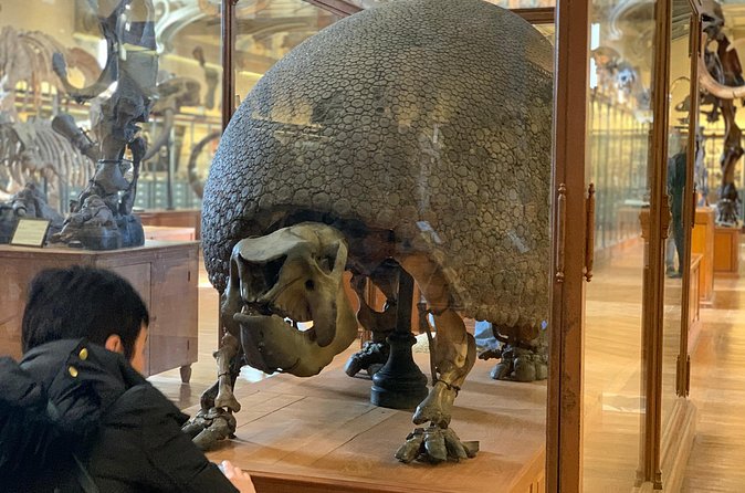 Washington DC Museum of Natural History Private Family tour - Staying after the formal tour